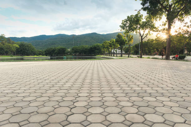 Best Local Driveway Pavers  in De Soto, IA